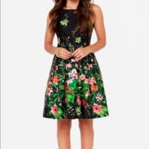 NWT I.Madeline Floral Print Fit & Flare Dress